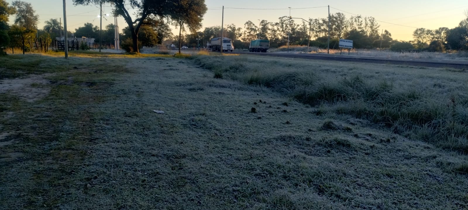 Helada hist&oacute;rica en Caa CAti el term&oacute;metro marco 3 grados bajo cero 