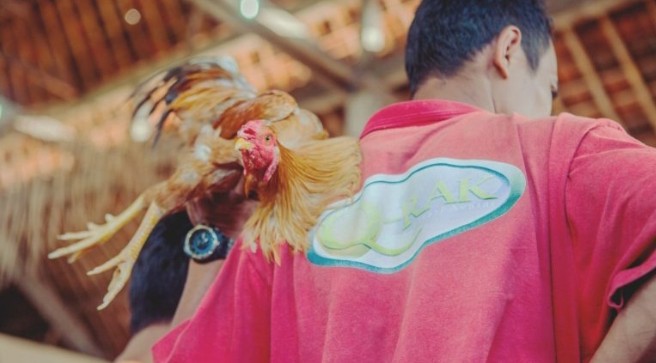 MALTRATO ANIMAL: Fallo ejemplar en solo 9 d&iacute;as gracias al nuevo sistema acusatorio