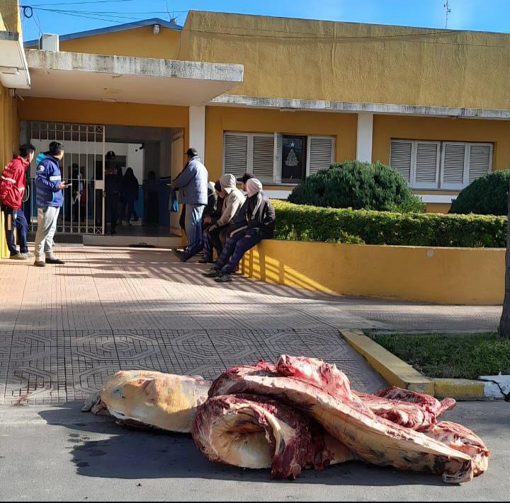San Miguel: Un carnero arrojo carne en mal estado frente a la municipalidad 