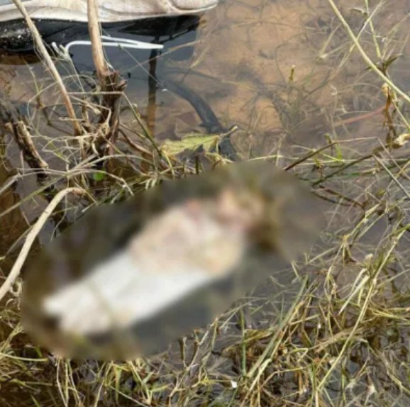 Hallaron restos de pie humano  en cercan&iacute;as del cementerio San Juan Bautista 