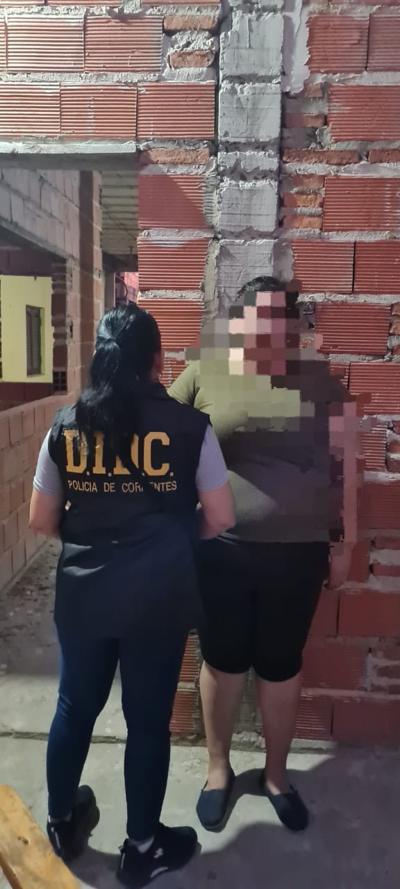 Detienen a una mujer por realizar estafas virtuales 