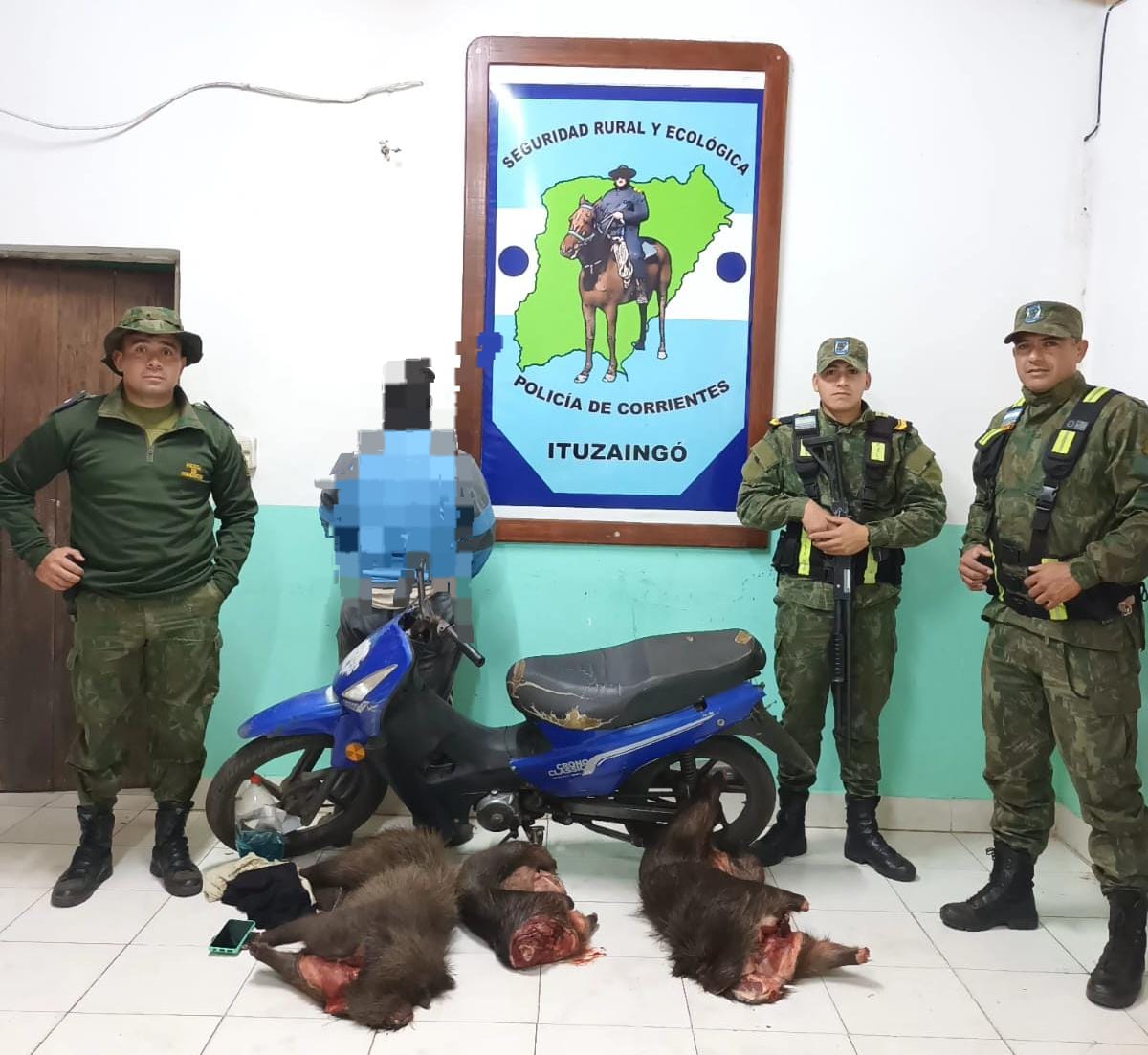 Ituzaing&oacute;: Un hombre fue detenido y le secuestraron animales silvestres 