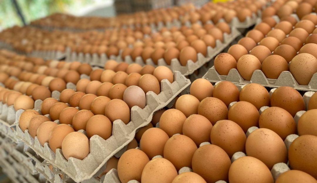 El precio del huevo en Corrientes subio un 12% 