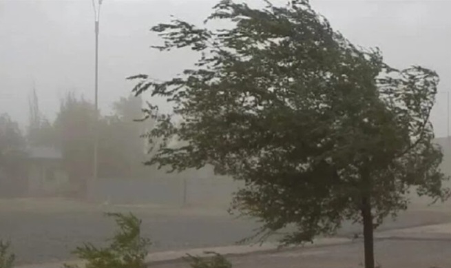 Alerta por fuertes vientos en todo el territorio provincial 