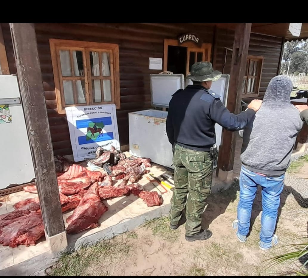 ESQUINA:  La Polic&iacute;a, aprehendi&oacute; a un hombre y secuestr&oacute; m&aacute;s de 150 kg de carne bovina