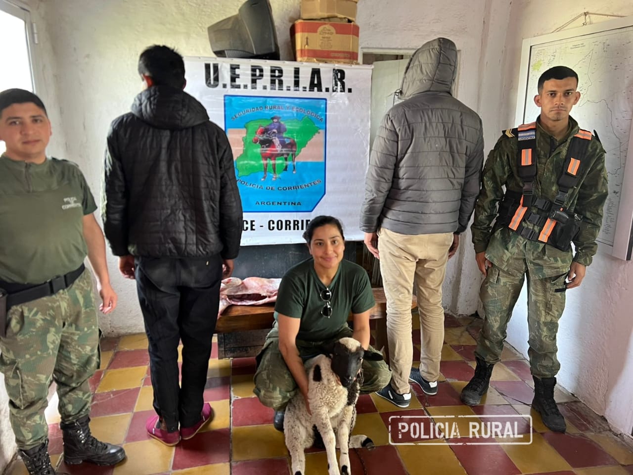 PRIAR SAUCE: Tras tareas investigativas, la Polic&iacute;a aprehendi&oacute; a dos personas y secuestro animales ovinos denunciados como sustra&iacute;dos
