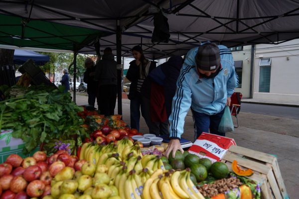 Las Ferias de la Ciudad vuelven con productos frescos y ofertas en distintos espacios p&uacute;blicos