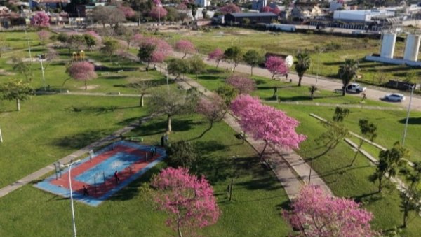 Semana del &Aacute;rbol: el Municipio prepara actividades de plantaci&oacute;n, educaci&oacute;n y concientizaci&oacute;n