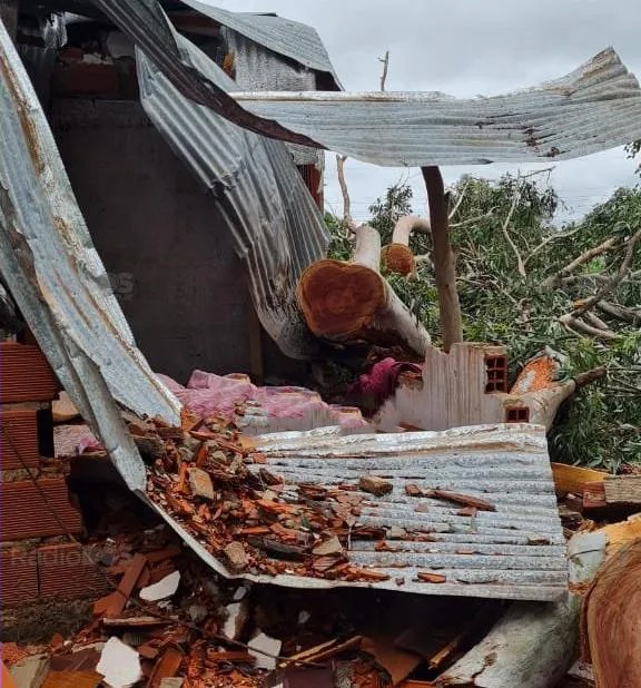 BELLA VISTA :  Una joven falleci&oacute; tras producirse el derrumbe de su vivienda por la ca&iacute;da de un &aacute;rbol