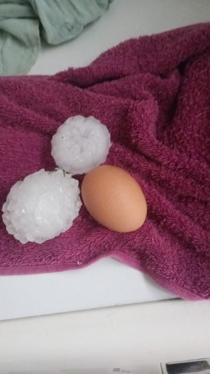 Temporal de granizo provoc&oacute; p&eacute;rdidas y da&ntilde;os en plantaciones citr&iacute;colas de Mocoret&aacute; y el sur correntino