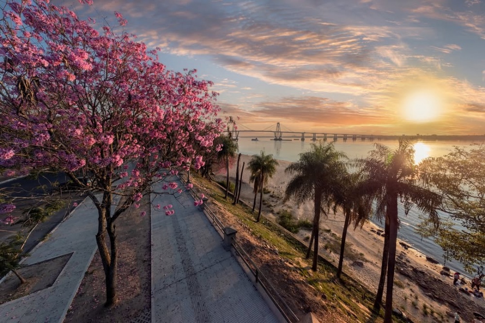Cuando empieza la primavera en Argentina en este 2025