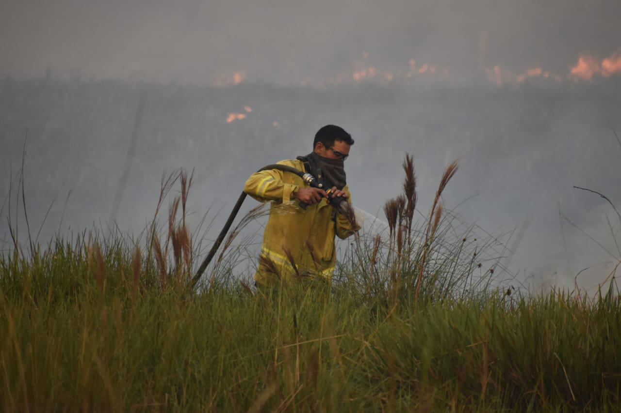 Saladas : Un importante incendio forestal consumi&oacute; varias hect&aacute;reas 