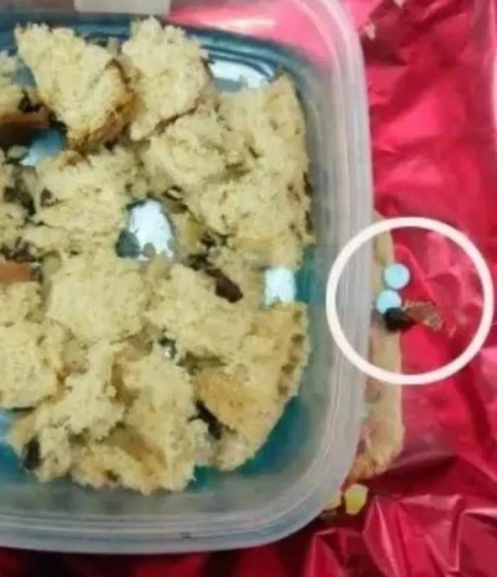 Caso Cecilia Stryzoski: En un pan dulce quisieron entregar pastillas a Marcela Acu&ntilde;a 