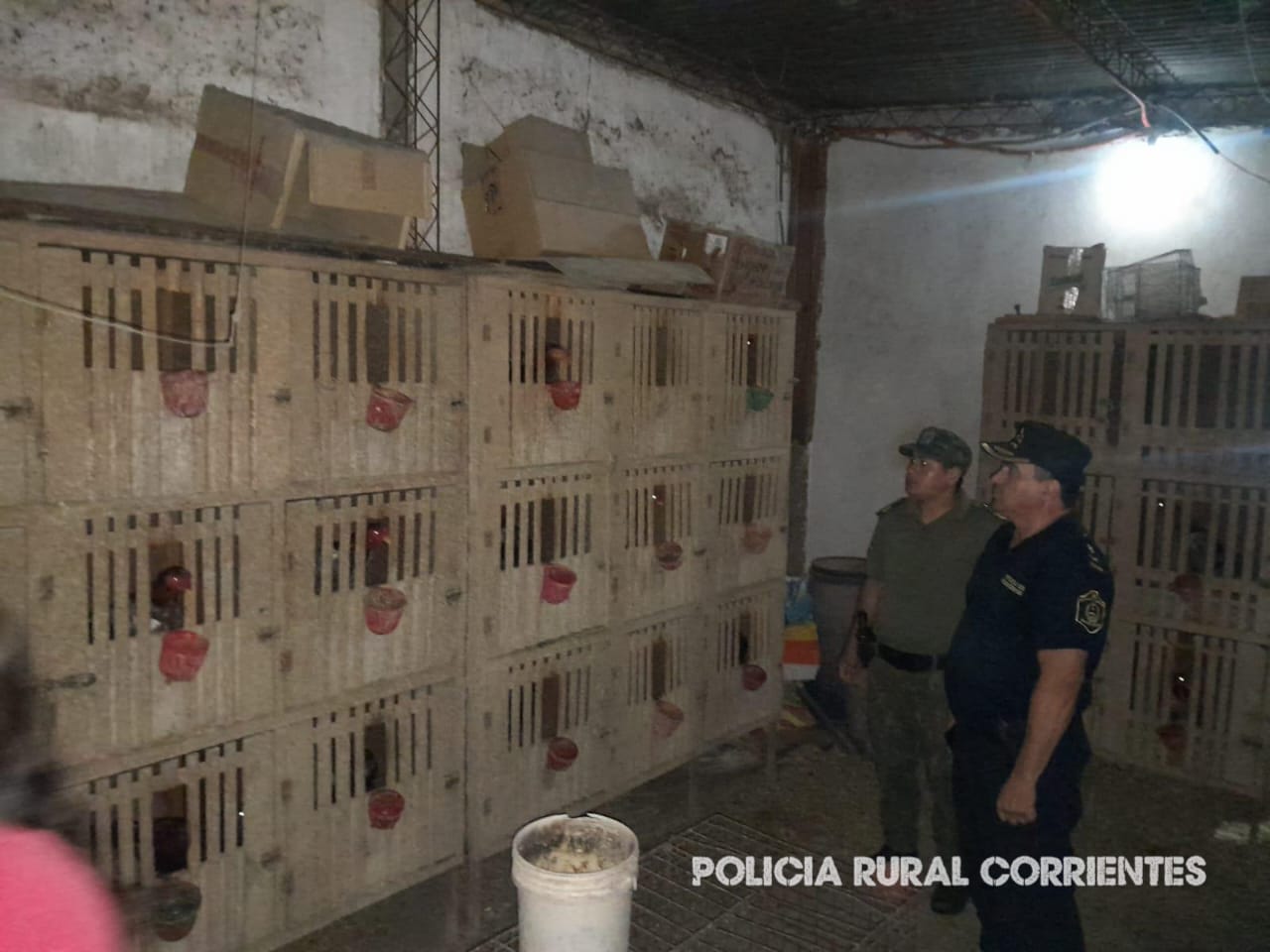 TRABAJO EN CONJUNTO: La Polic&iacute;a tras diligenciar una orden de allanamiento, secuestro varias aves de corral 