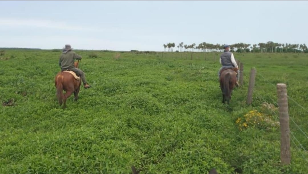 Sauce : Un joven falleci&oacute; al caer de su caballo 