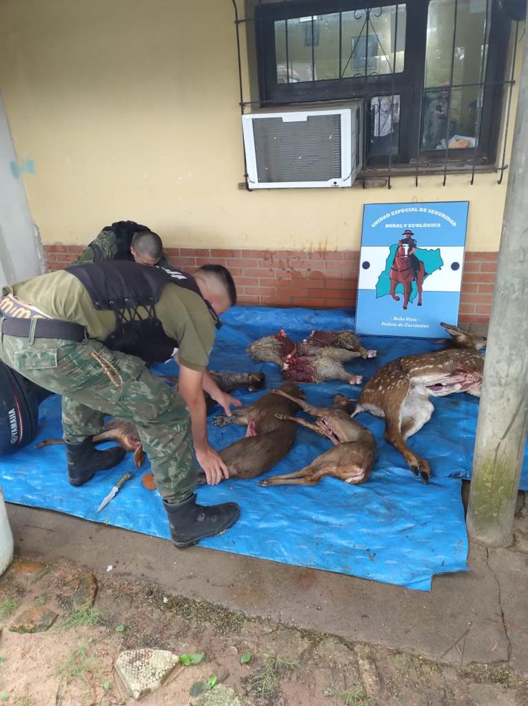 3 de Abril : Un hombre fue detenido y se secuestro animales faenados 