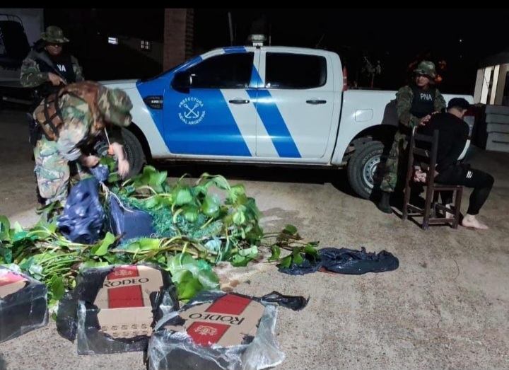 Mercader&iacute;a ilegal disfrazada de camalote: Prefectura incaut&oacute; cigarrillos sin aval aduanero en Chaco