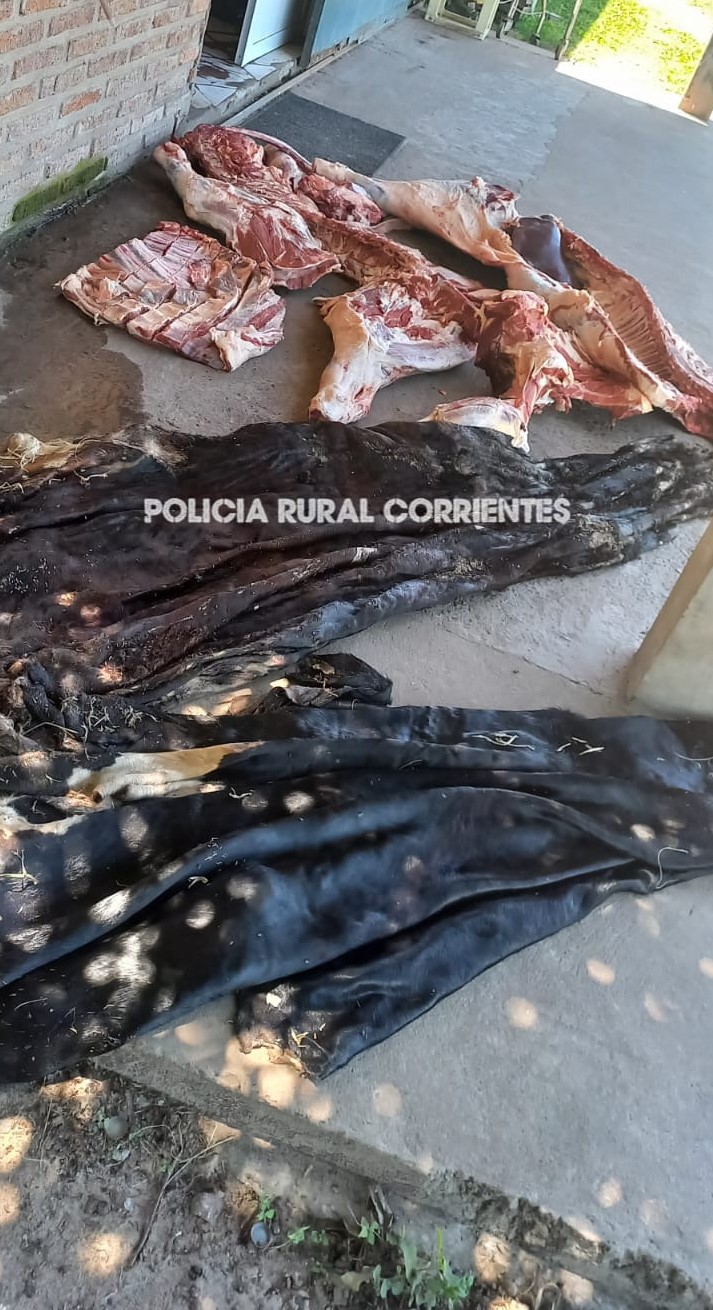 PARAJE DESMOCHADO:  La Polic&iacute;a secuestr&oacute; m&aacute;s de 150 kilogramos de carne