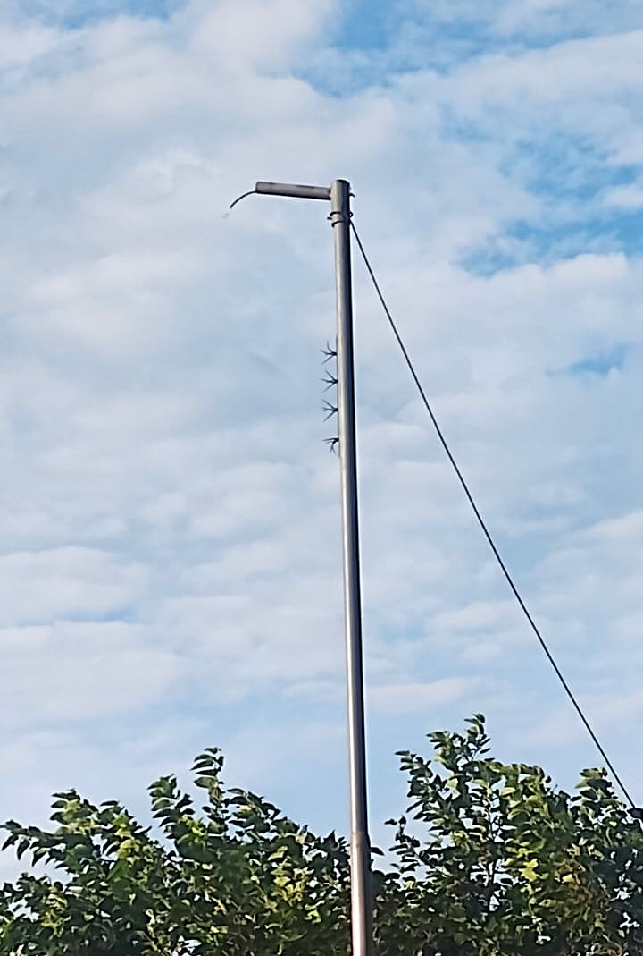 El barrio Juan de Vera asolado por ladrones de luces LED