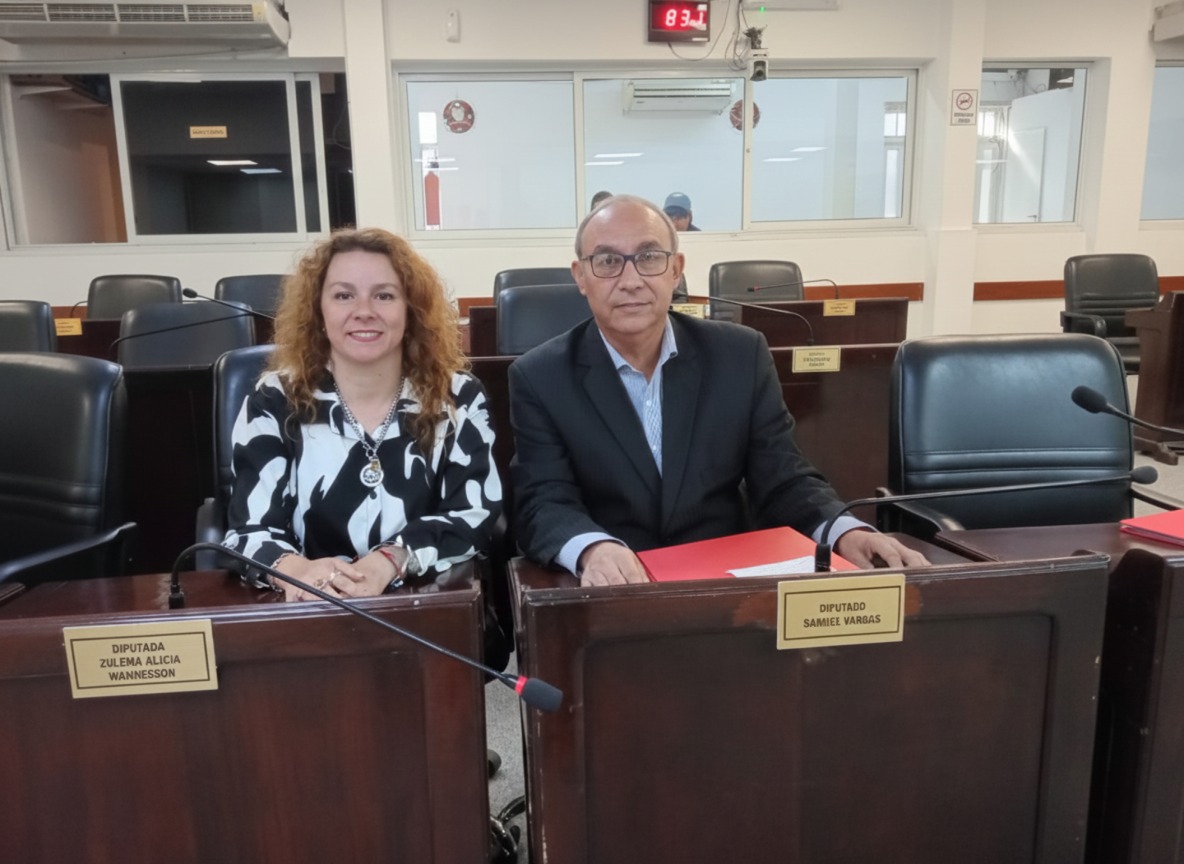 Chaco: La regulación del transporte por aplicaciones es necesaria y urgente, afirmó la concejal Analía Verón